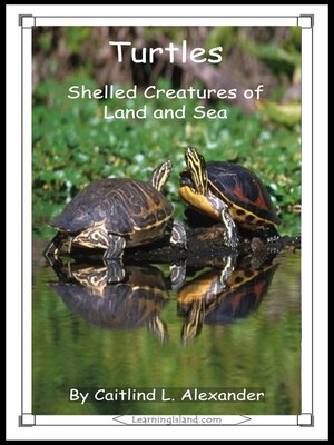 cover image of Turtles
